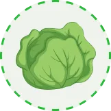 將自然的饋贈帶到您的餐桌 - emc易倍官网app