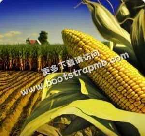 每一次點擊都經演算法校驗 - emc易倍官网app