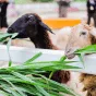 搜尋 - emc易倍官网app