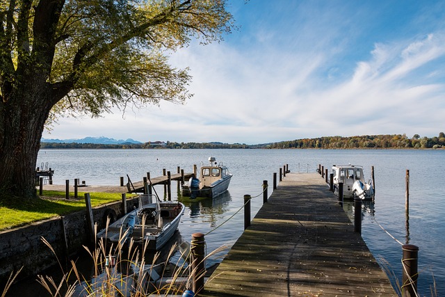 也反映了其 也反映了其