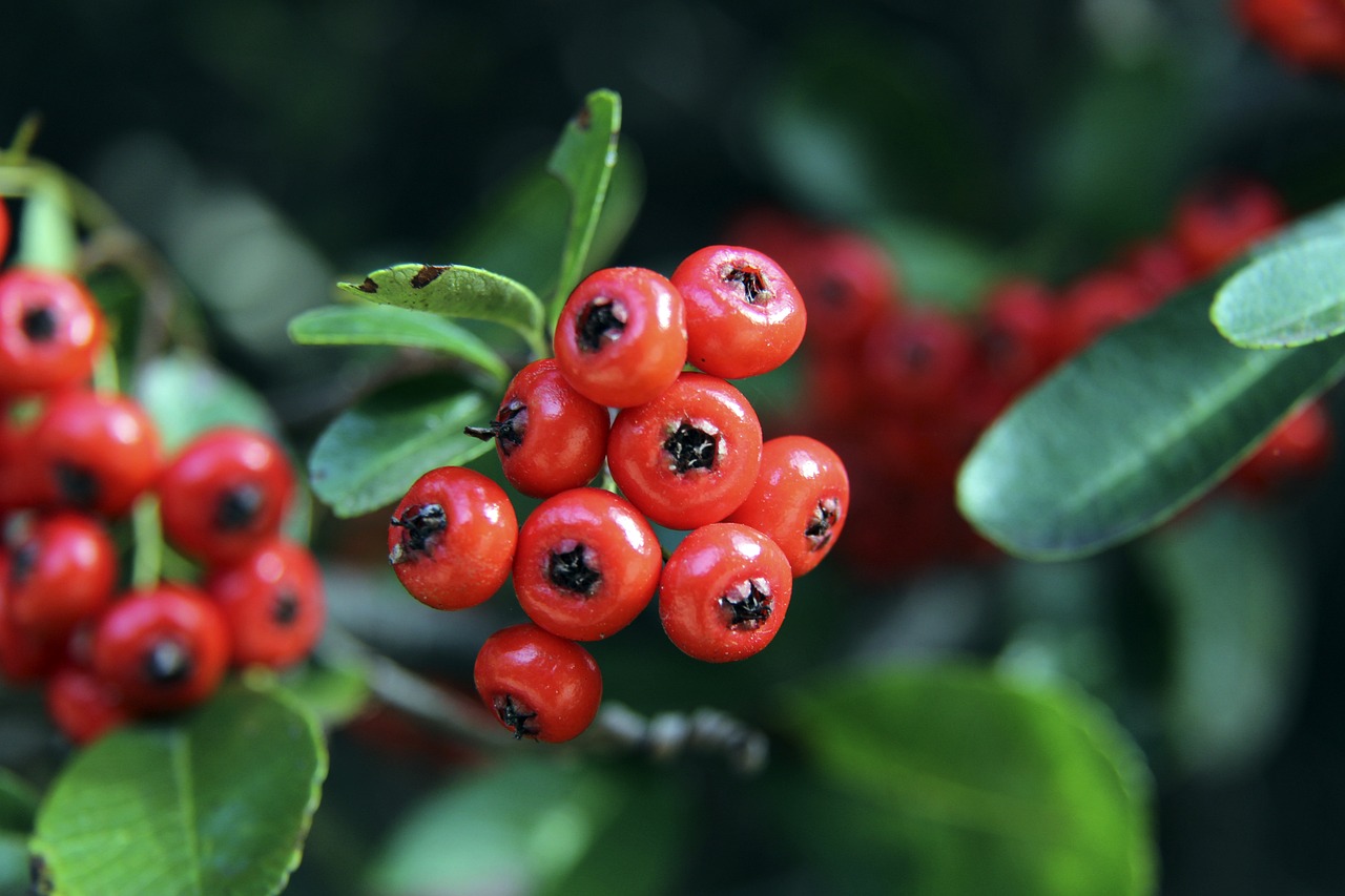 稳步提升 稳步提升