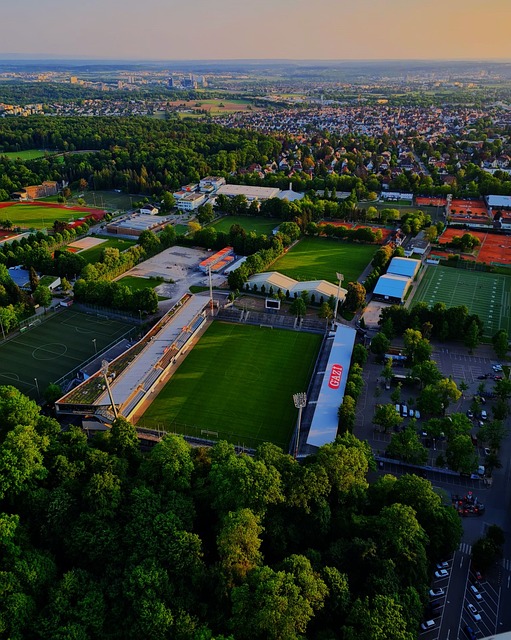 勇气与智慧 勇气与智慧