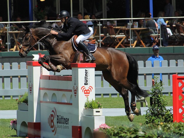 仅展示了全 仅展示了全