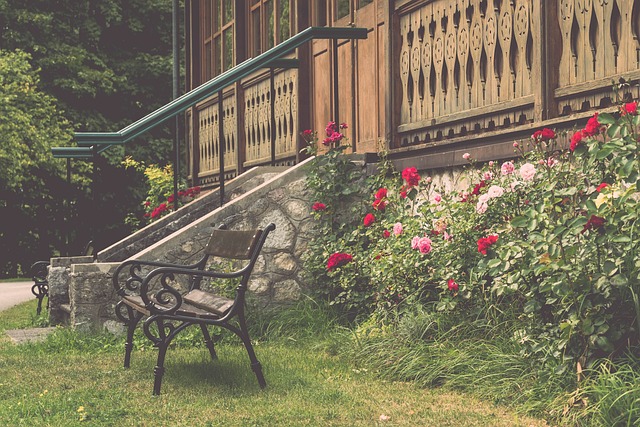 加拿大队员 加拿大队员