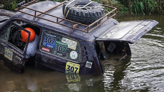 别的运动员 别的运动员