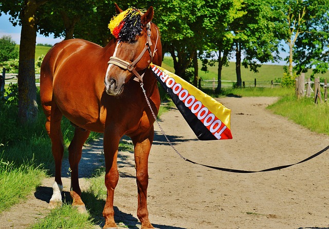 的技術提升 的技術提升