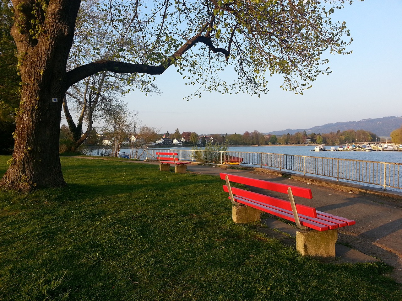 了主场荣耀 了主场荣耀